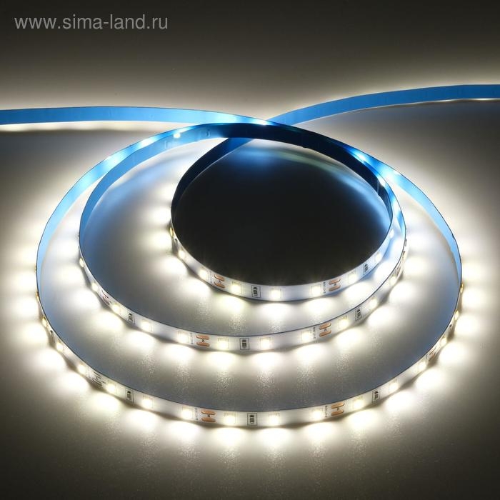 Светодиодная лента Ecola PRO 5 м, IP20, SMD5060, 60 LED/м, 11 Вт/м, 12 В, 4200К Светодиодная лента Ecola PRO 5 м, IP20, SMD5060, 60 LED/м, 11 Вт/м, 12 В, 4200К