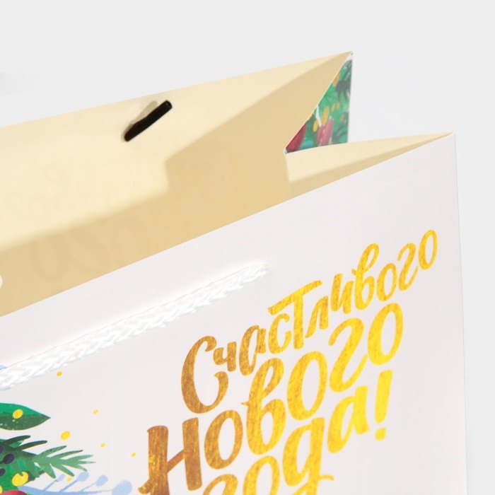 Пакет подарочный новогодний «Звезда», 30 х 23 х 10 см, Новый год Пакет подарочный новогодний «Звезда», 30 х 23 х 10 см, Новый год