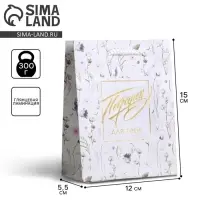 Пакет подарочный ламинированный, упаковка, Gift for you, S 12 х 15 х 5.5 см