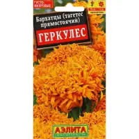 Семена Цветов Бархатцы "Геркулес", прямостоячие, ц/п, 0,2 г Семена Цветов Бархатцы "Геркулес", прямостоячие, ц/п, 0,2 г