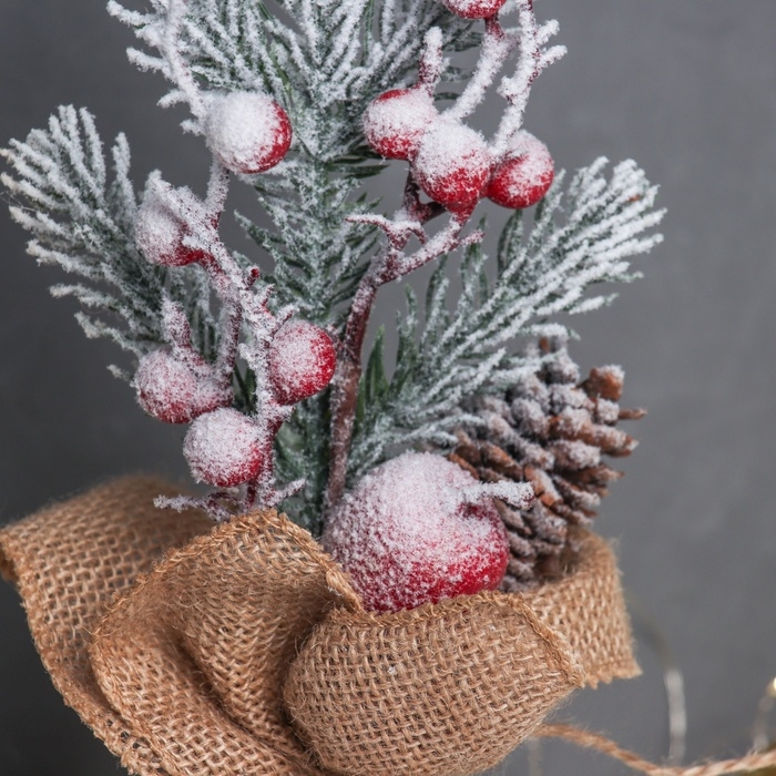 Декор  Декор "Яркий праздник, в мешочке" яблоко шишка, 26х10 см