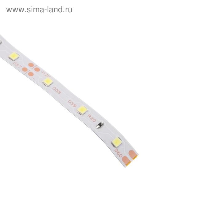 Светодиодная лента Ecola STD 5 м, IP20, SMD3528, 60 LED/м, 4.8 Вт/м, 12 В, 6000К Светодиодная лента Ecola STD 5 м, IP20, SMD3528, 60 LED/м, 4.8 Вт/м, 12 В, 6000К