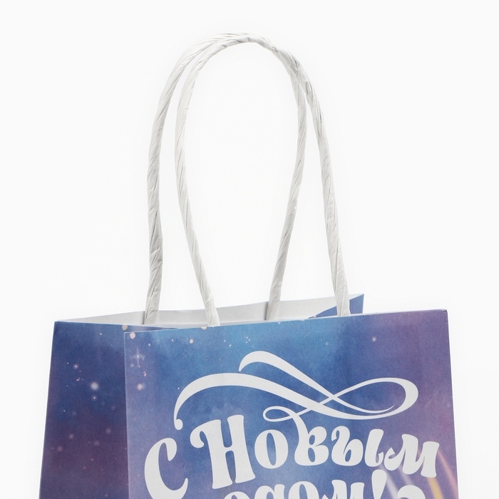 Пакет подарочный новогодний «Сказочный», змея, белый крафт, 12 х 21 х 9 см Пакет подарочный новогодний «Сказочный», змея, белый крафт, 12 х 21 х 9 см