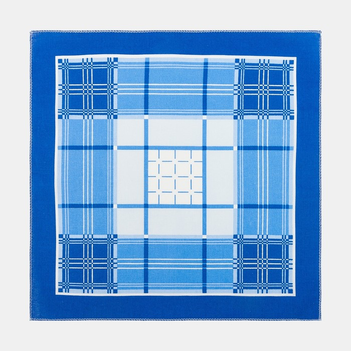 Платки носовые мужские Этель 30*30 см,(набор 12 шт,) цв.Голубой, рис. МИКС 100% хл Платки носовые мужские Этель 30*30 см,(набор 12 шт,) цв.Голубой, рис. МИКС 100% хл