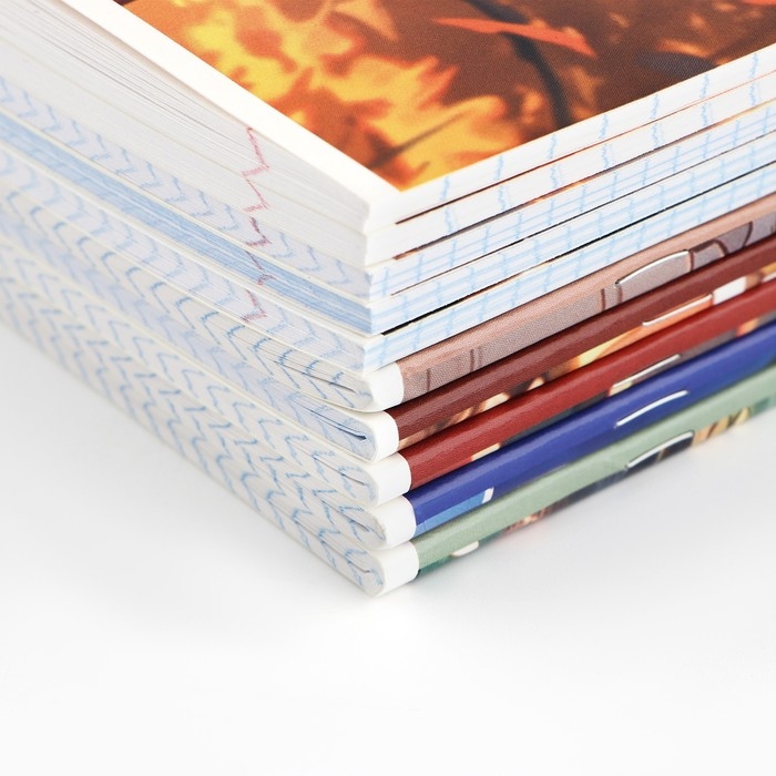 Набор тетрадей 48 листов, 10 предметов, внутренний блок №1 &laquo;1 сентября: Аниме&raquo; ВД лак