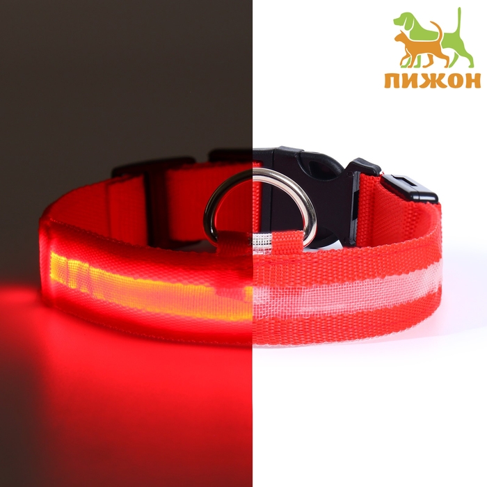 Ошейник с подсветкой размер М, ОШ 40-48 х 2,5 см, 3 режима свечения красный Ошейник с подсветкой размер М, ОШ 40-48 х 2,5 см, 3 режима свечения красный