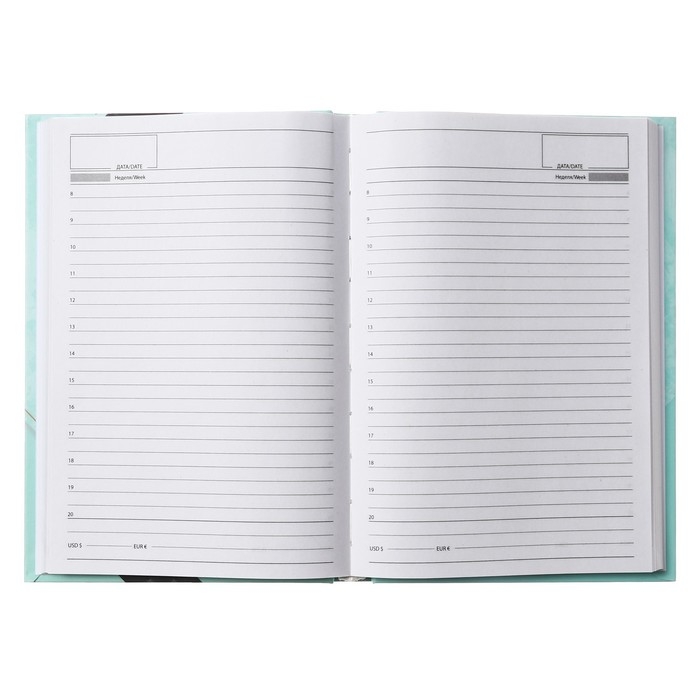 Ежедневник недатированный на сшивке А5 160 листов, картон 7БЦ, матовая ламинация, фольга Ежедневник недатированный на сшивке А5 160 листов, картон 7БЦ, матовая ламинация, фольга "Гармония"