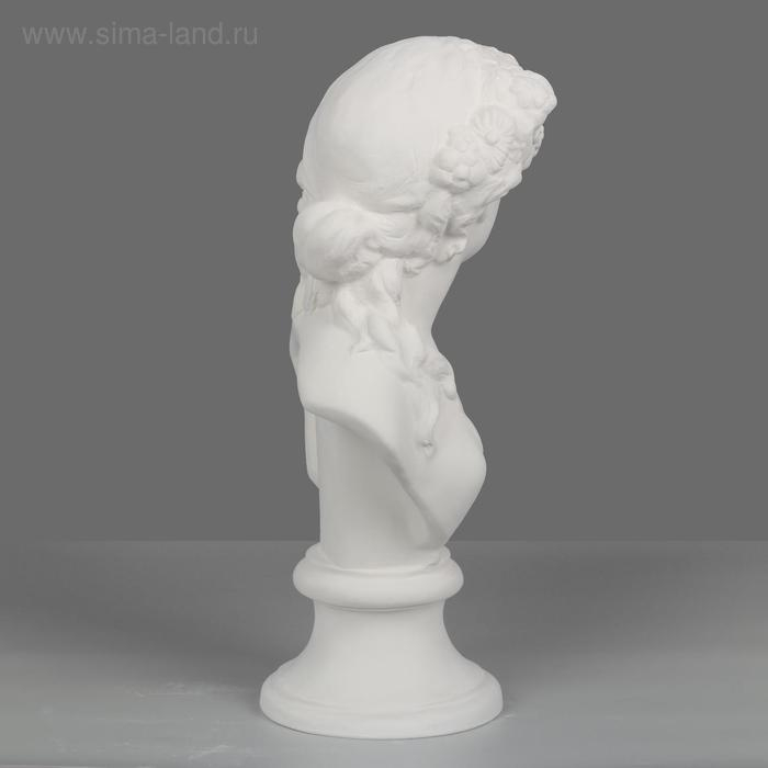 Гипсовая фигура Бюст Флоры, 17.5 х 17 х 40 см Гипсовая фигура Бюст Флоры, 17.5 х 17 х 40 см