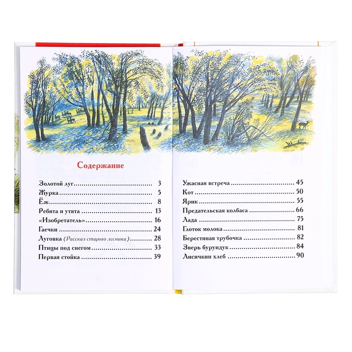 Книга «Рассказы о природе», Пришвин М.М., внеклассное чтение Книга «Рассказы о природе», Пришвин М.М., внеклассное чтение