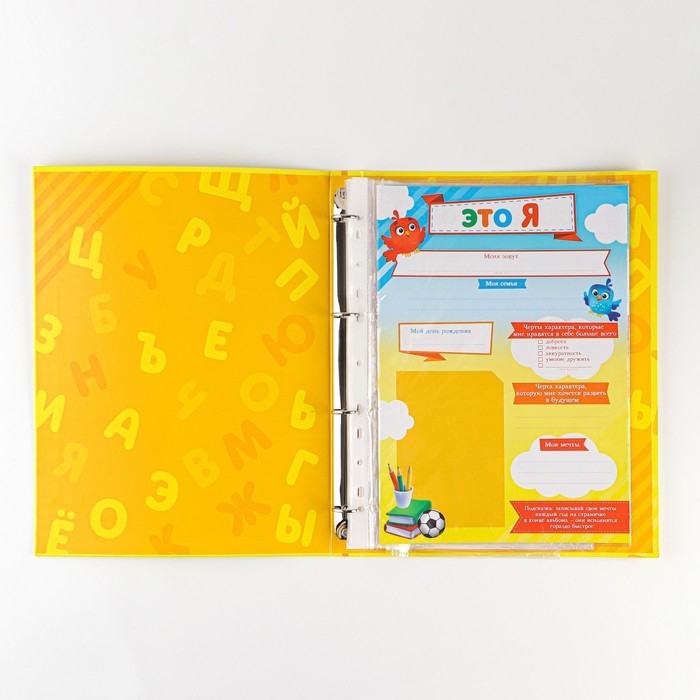Папка школьная на кольцах «Портфолио дошкольника», 14 листов-разделителей, 24,5 х 32 см. Папка школьная на кольцах «Портфолио дошкольника», 14 листов-разделителей, 24,5 х 32 см.