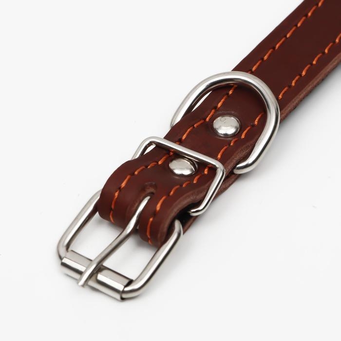 Ошейник кожаный на синтепоне, 45 х 2 см, ОШ 25-35 см, коричневый Ошейник кожаный на синтепоне, 45 х 2 см, ОШ 25-35 см, коричневый