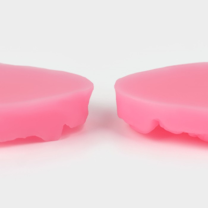 Молд «Лист тропических растений», силикон, 2 шт, 6,5×4×2,3 см, цвет МИКС Молд «Лист тропических растений», силикон, 2 шт, 6,5×4×2,3 см, цвет МИКС