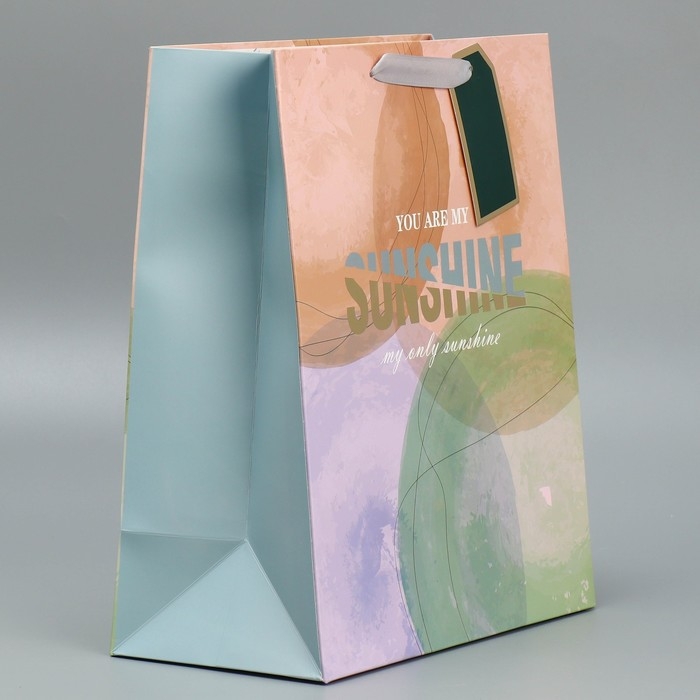 Пакет подарочный ламинированный, упаковка, «Солнце моё», 25.4 х 30.5 х 12.7 см Пакет подарочный ламинированный, упаковка, «Солнце моё», 25.4 х 30.5 х 12.7 см