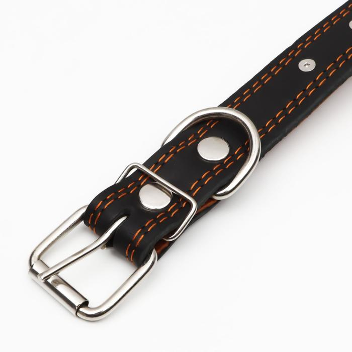 Ошейник кожаный  Ошейник кожаный "Строгий шип", 65 х 3 см, ОШ 40-55 см, чёрный