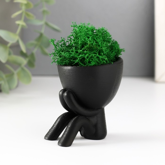 Кашпо бетонное мини Кашпо бетонное мини "Мистер Грин" Кикадзару со мхом черный 5,5х6х6,5 см (мох зел. стабилиз)