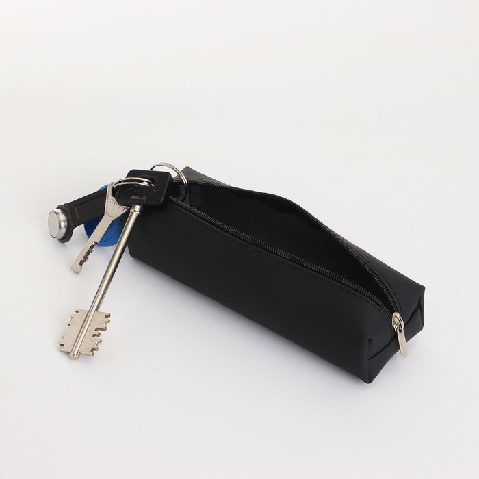 Ключница на молнии, длина 16 см, кольцо, карабин, цвет чёрный Ключница на молнии, длина 16 см, кольцо, карабин, цвет чёрный