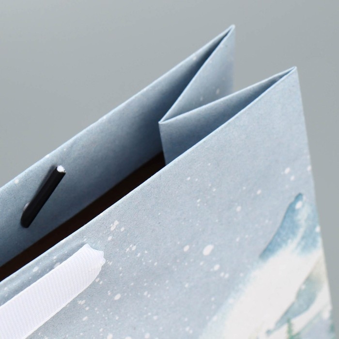 Пакет подарочный новогодний крафтовый вертикальный «Чудеса случаются», M 26 х 30 х 9 см, Новый год Пакет подарочный новогодний крафтовый вертикальный «Чудеса случаются», M 26 х 30 х 9 см, Новый год