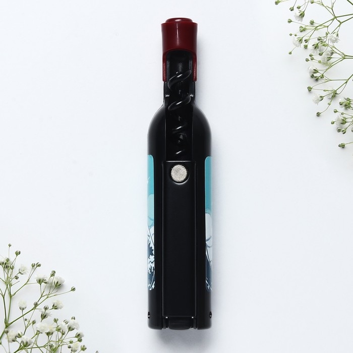 Магнит-открывашка «Владивосток», 2,5 х 11,8 х 2,5 см Магнит-открывашка «Владивосток», 2,5 х 11,8 х 2,5 см