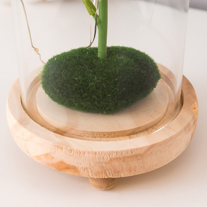 Ночник Ночник "Колба с алой розой" LED от батареек 3ААА 19,5х9,5х9,5 см RISALUX