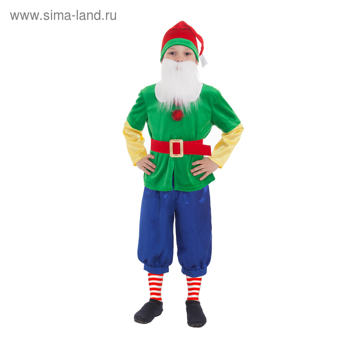 Карнавальный костюм «Гном зелёный», колпак, жакет, бриджи, борода, пояс, р-р 30, рост 110-116 см Карнавальный костюм «Гном зелёный», колпак, жакет, бриджи, борода, пояс, р-р 30, рост 110-116 см