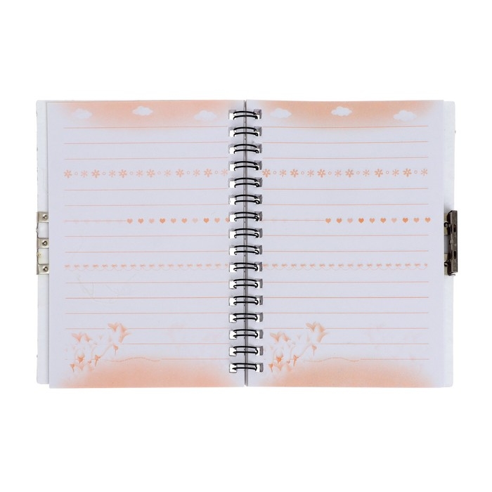 Записная книжка в подарочной коробке, на замочке, А6, 50 листов, линия, "Окошко", МИКС