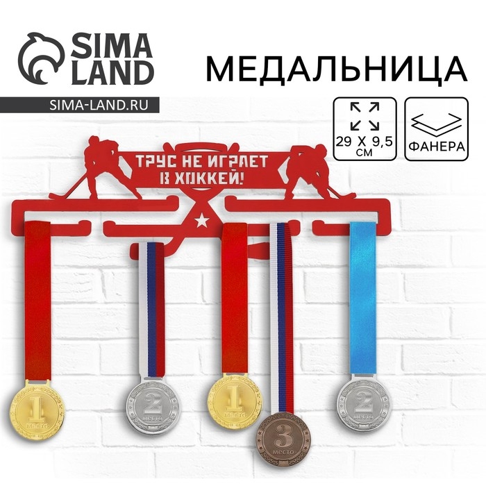 Медальница &laquo;Хоккей&raquo;, 29 х 9,5 см