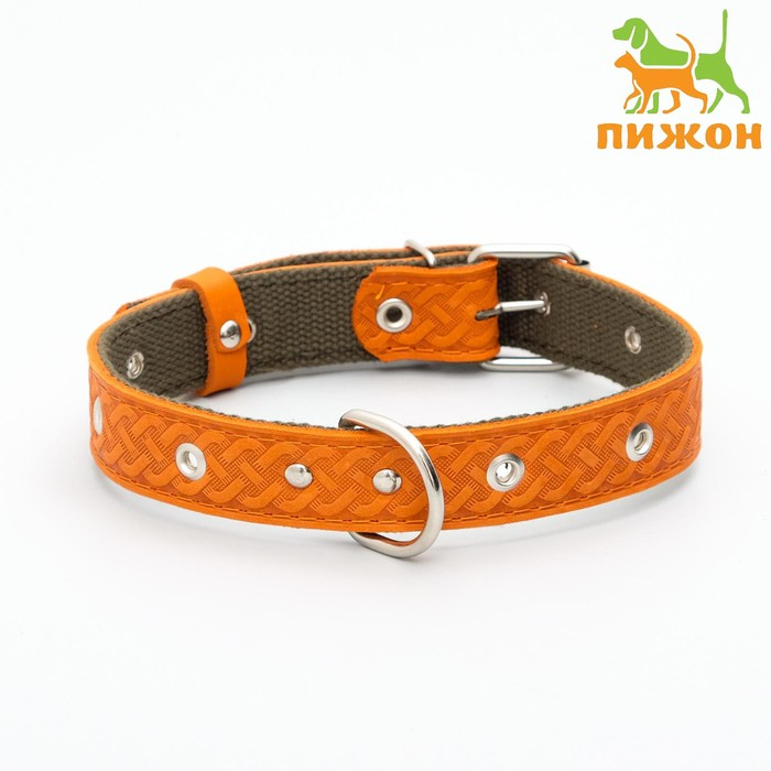 Ошейник комбинированный безразмерный, кожа/брезент, 60 х 3 см, ОШ 30-57 см, рыжий/зелёный