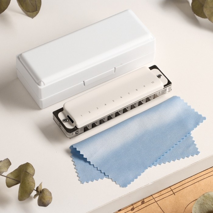 Губная гармошка Music Life T008L  C диатоническая, 10 отверстий, с футляром Губная гармошка Music Life T008L  C диатоническая, 10 отверстий, с футляром