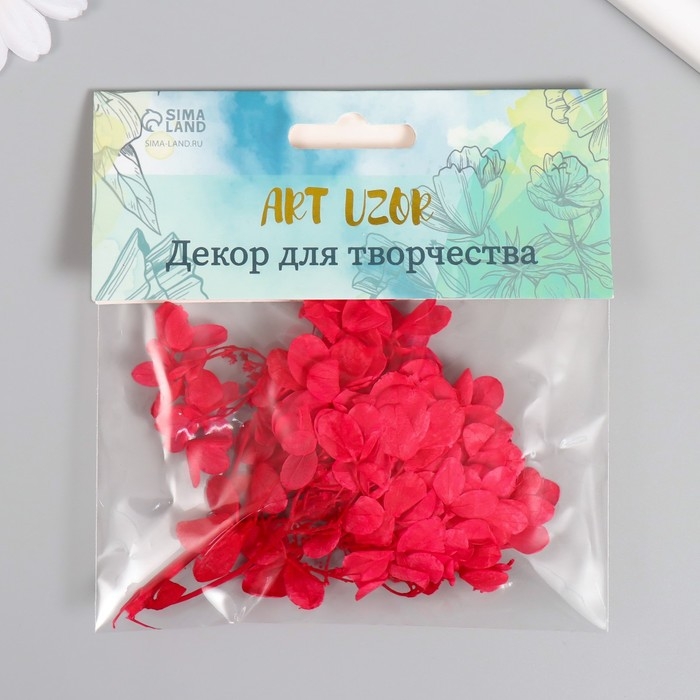 Сухоцвет Сухоцвет "Гортензия" красный h=6-6,5 см