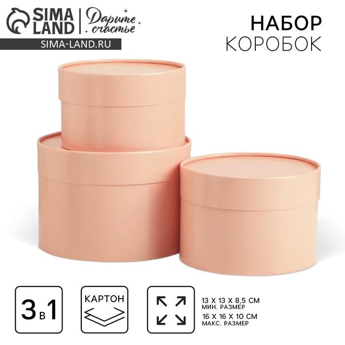 Набор шляпных коробок 3 в 1 пудровый, упаковка подарочная, 16 х 10, 14 х 9, 13 х 8,5 см Набор шляпных коробок 3 в 1 пудровый, упаковка подарочная, 16 х 10, 14 х 9, 13 х 8,5 см