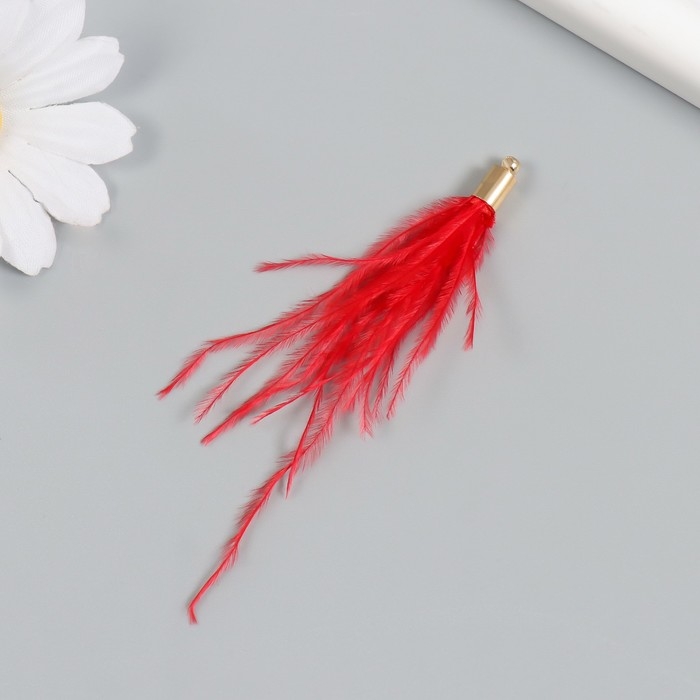 Декор для творчества перо Декор для творчества перо "Кисть Страус" набор 2 шт красный 9х0,5 см