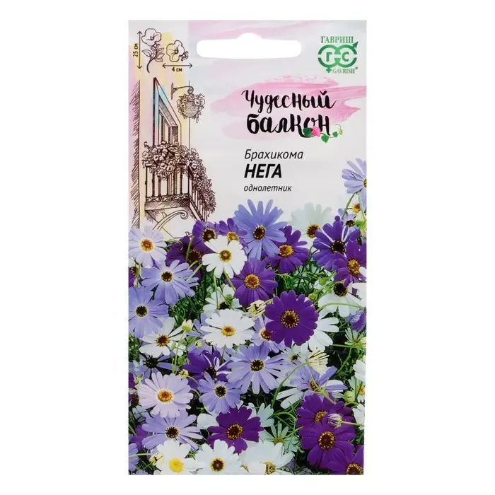 Семена цветов Брахикома Семена цветов Брахикома "Нега", ц/п, 0,02 г