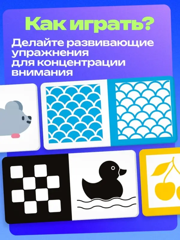 Развивающий набор &laquo;Мои первые картинки&raquo;, 80 карточек, 0+