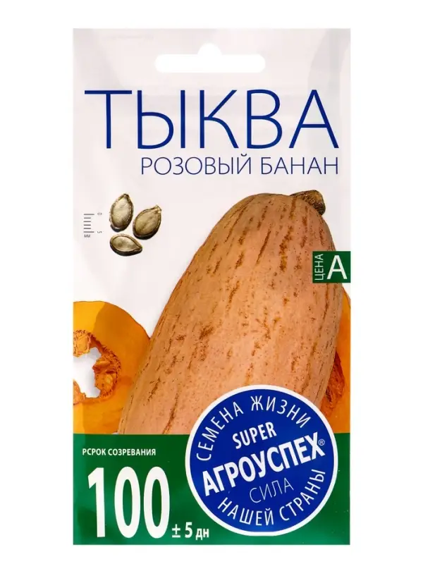 Набор семян Тыква &laquo;Розовый банан&raquo;, 5 шт., &laquo;Мой выбор&raquo;