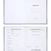 Дневник школьный для 1-4 классов, &laquo;Бездорожье&raquo;, твёрдая обложка 7БЦ, глянцевая ламинация, 48 листов