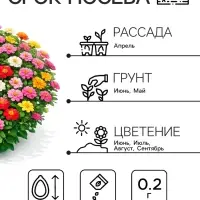 Семена цветов Цинния &laquo;Дюймовочка&raquo;, 0.2 г, &laquo;Рецепты дедушки Никиты&raquo;