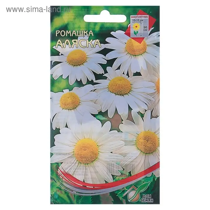 Семена цветов Ромашка  Семена цветов Ромашка "Аляска", 70 шт.