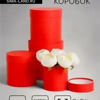 Набор шляпных подарочных коробок 4 в 1 &laquo;Красный&raquo;, 20&times;20 ‒11&times;11 см
