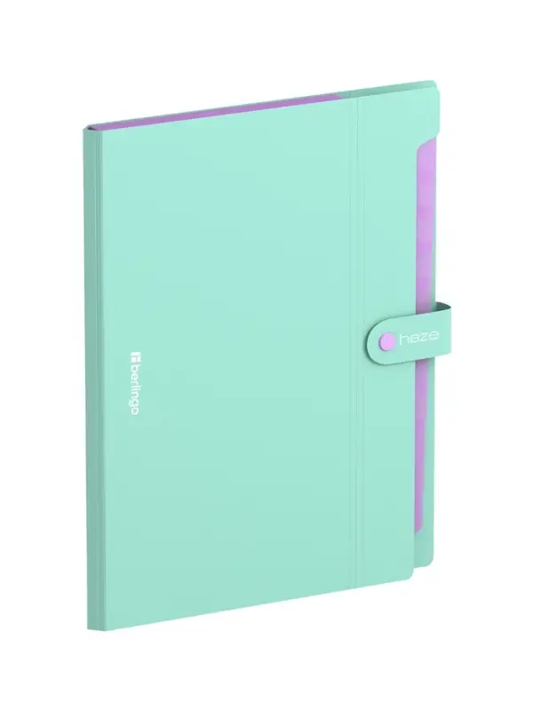 Папка А4 Haze, 12 отделений, 600 мкм, на кнопке, мятная