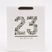 Пакет подарочный ламинированный, упаковка, &laquo;23 февраля&raquo;, ML 23&times;27&times;11.5 см