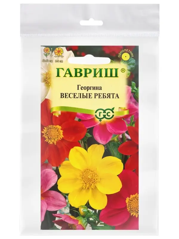 Семена Георгина воротничковая &laquo;Веселые ребята&raquo;, 0.5 г, &laquo;Гавриш&raquo;