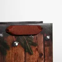 Пакет подарочный под бутылку «Счастья и удачи», 13×36×10 см Пакет подарочный под бутылку «Счастья и удачи», 13×36×10 см