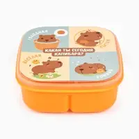 Ланч - бокс квадратный с секциями &laquo;Капибара&raquo;, 14.5&times;6 см