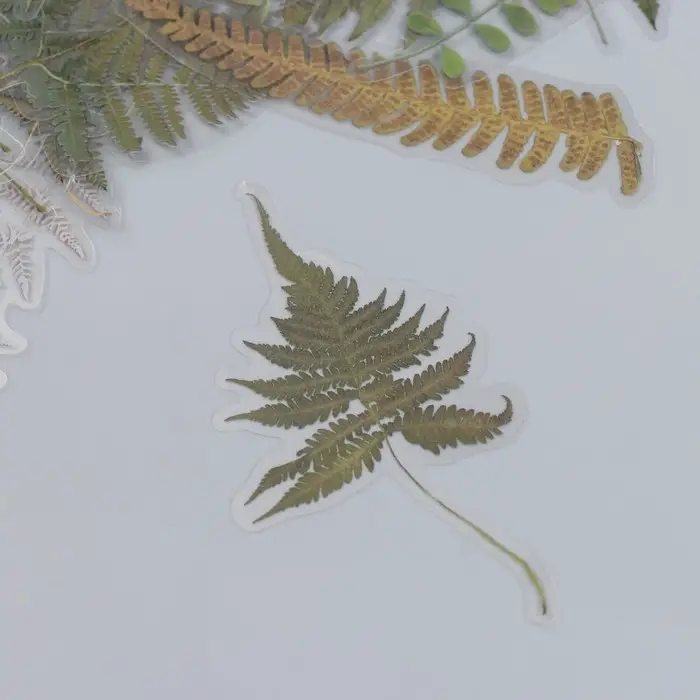 Наклейки для творчества "Пальмовые листья" набор 40 шт 12х9 см Наклейки для творчества "Пальмовые листья" набор 40 шт 12х9 см