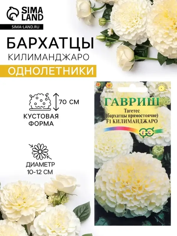 Семена цветов Тагетес, бархатцы прямые &laquo;Килиманджаро&raquo;, F1, 0.05 г, &laquo;Гавриш&raquo;
