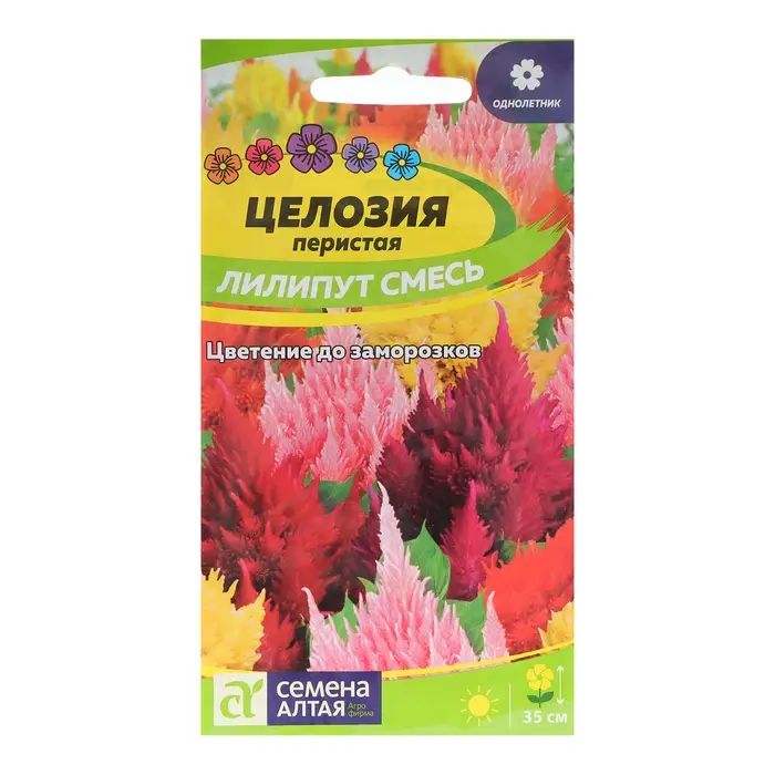 Семена цветов Целозия Лилипут смесь перистая, О, ц/п, 0,1 г Семена цветов Целозия Лилипут смесь перистая, О, ц/п, 0,1 г