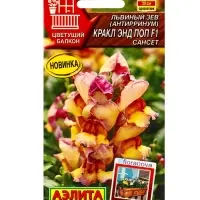 Семена цветов Львиный зев Кракл энд поп F1 сансет С. Floranova Цветущий балкон, Ц/П,7 шт. Семена цветов Львиный зев Кракл энд поп F1 сансет С. Floranova Цветущий балкон, Ц/П,7 шт.