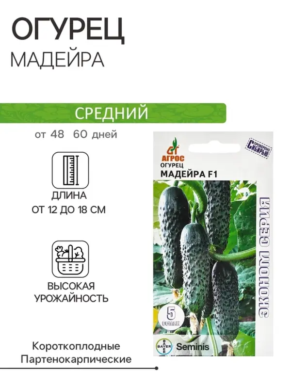 Семена Огурец"Мадейра"F1 5шт* ЭКОНОМ