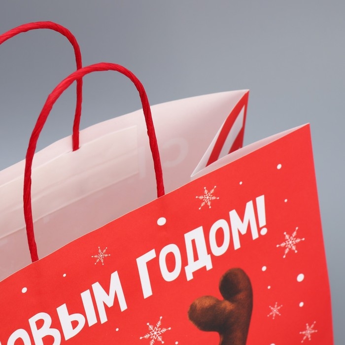 Пакет подарочный новогодний крафтовый «Олень ты», 28 х 32 х 15 см Пакет подарочный новогодний крафтовый «Олень ты», 28 х 32 х 15 см