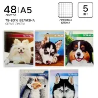 Тетради 5 штук, 48 листов в клетку &laquo;Собачьи мордочки&raquo;, обложка мелованный картон, блок №2, белизна 75% (серые листы)